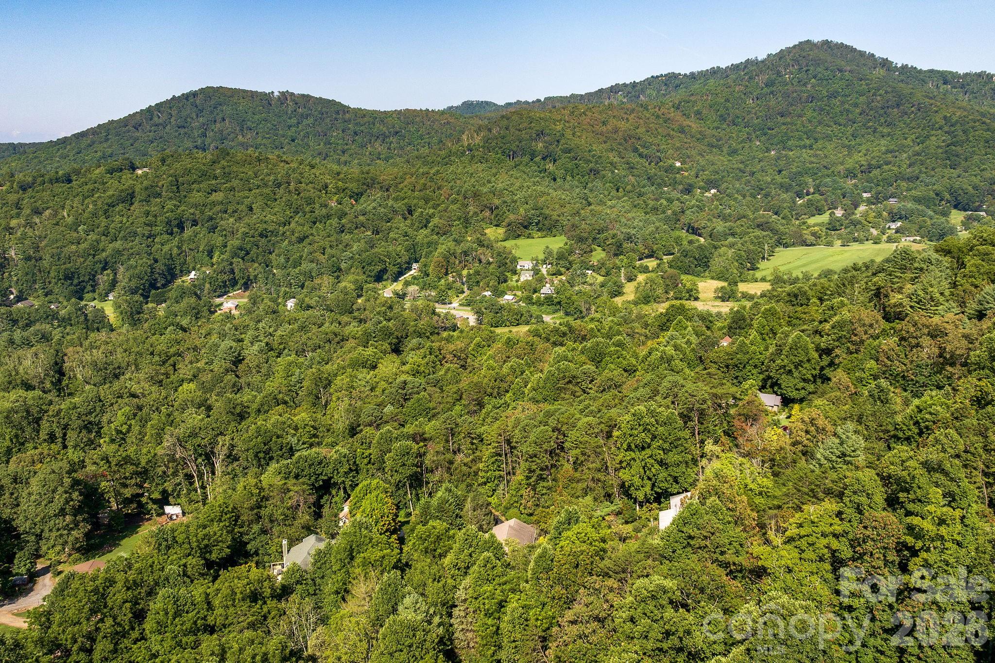 212 Blue Ridge Vista Asheville, NC 28805 - Photo 40 of 42 a view of a lush green forest with a mountain