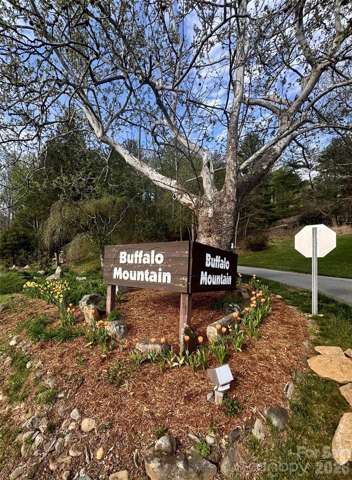 212 Blue Ridge Vista Asheville, NC 28805 - Photo 41 of 42 a view of a sign board