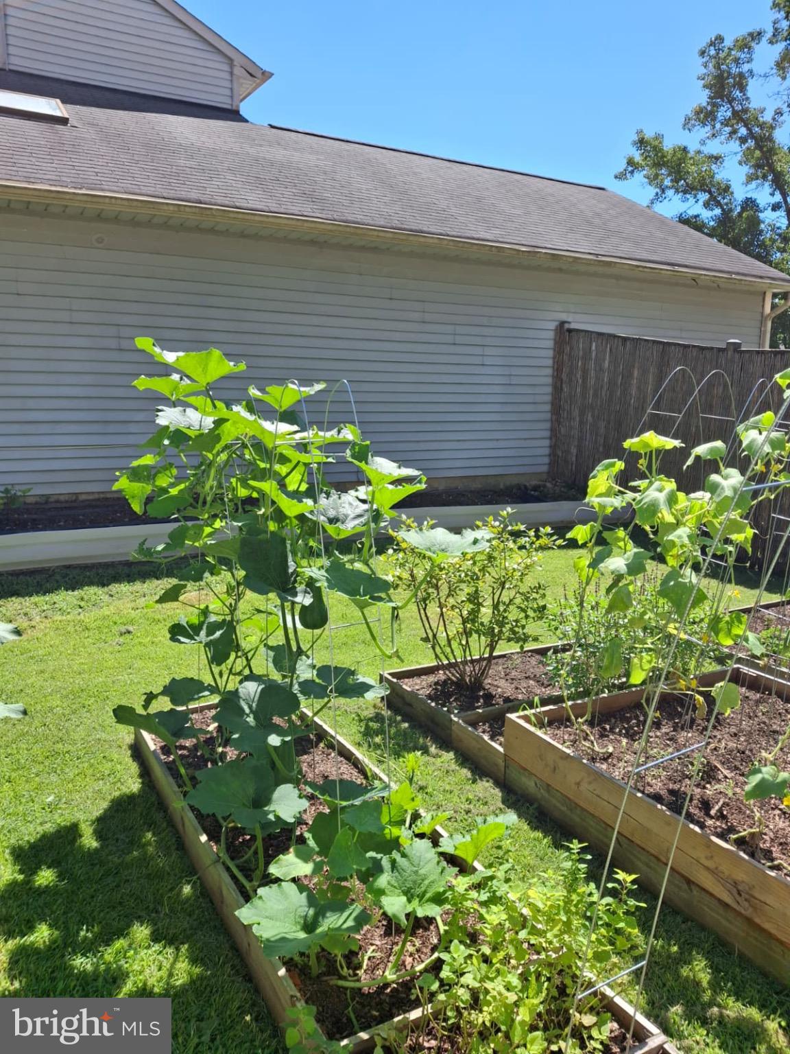 14511 Colonels Choice Road Upper Marlboro, MD 20772 - Photo 33 of 41 a backyard of a house with a lot of flowers