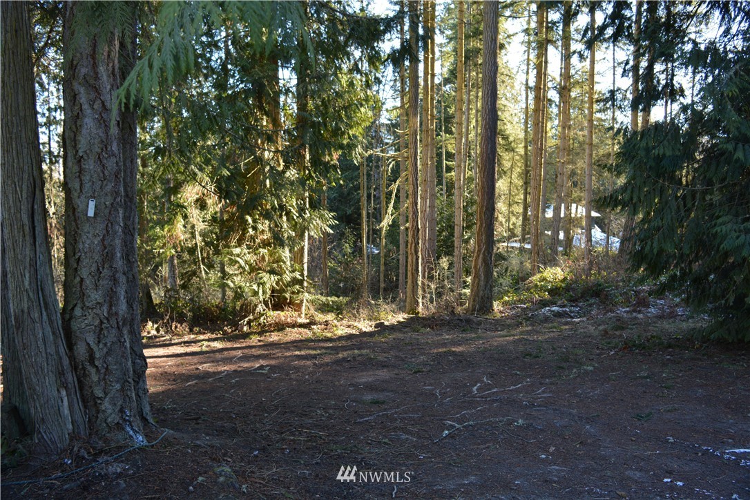 264 Bear Creek Estates Road Sequim, WA 98382 - Photo 4 of 5