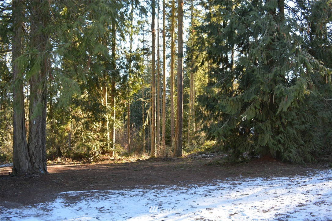 264 Bear Creek Estates Road Sequim, WA 98382 - Photo 5 of 5