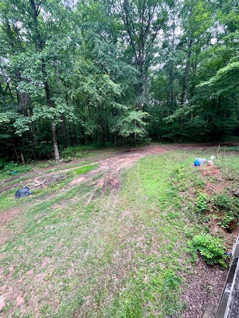 2369 Hoody Hudson Road Cataula, GA 31804 - Photo 12 of 12 a backyard of a house with lots of green space