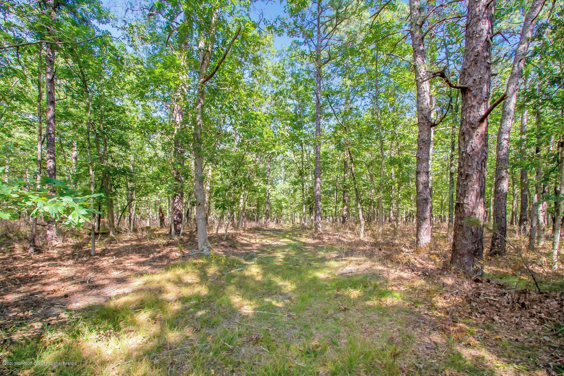 70 Bowman Road Jackson, NJ 08527 - Photo 24 of 30 030-363387-IMG_2021_9457508