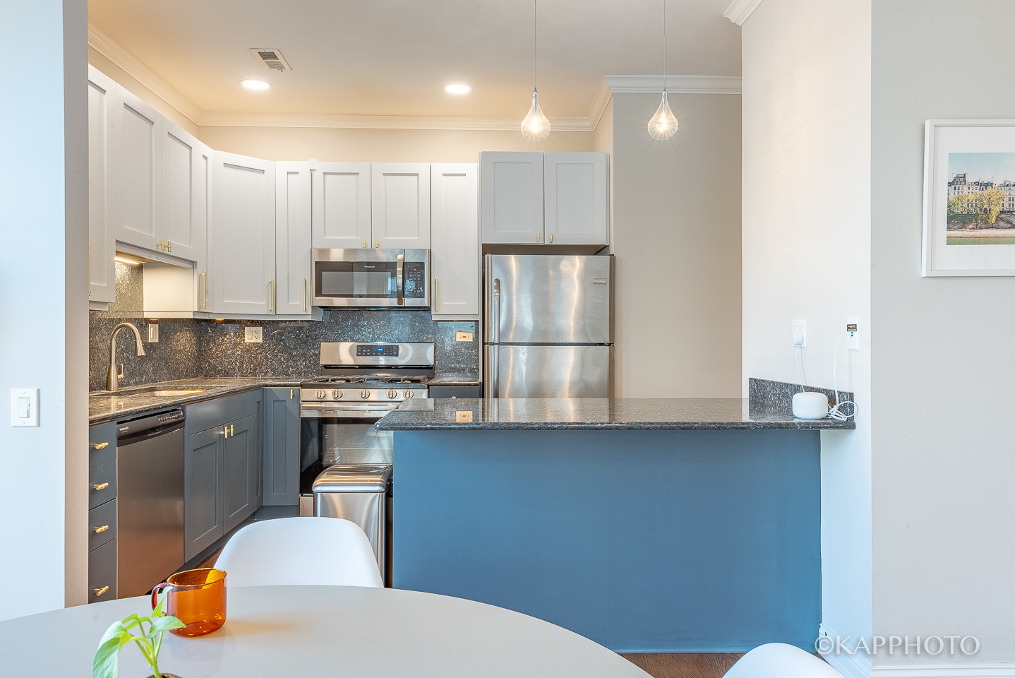 1355 West Washington Boulevard, Unit 4E Chicago, IL 60607 - Photo 5 of 26