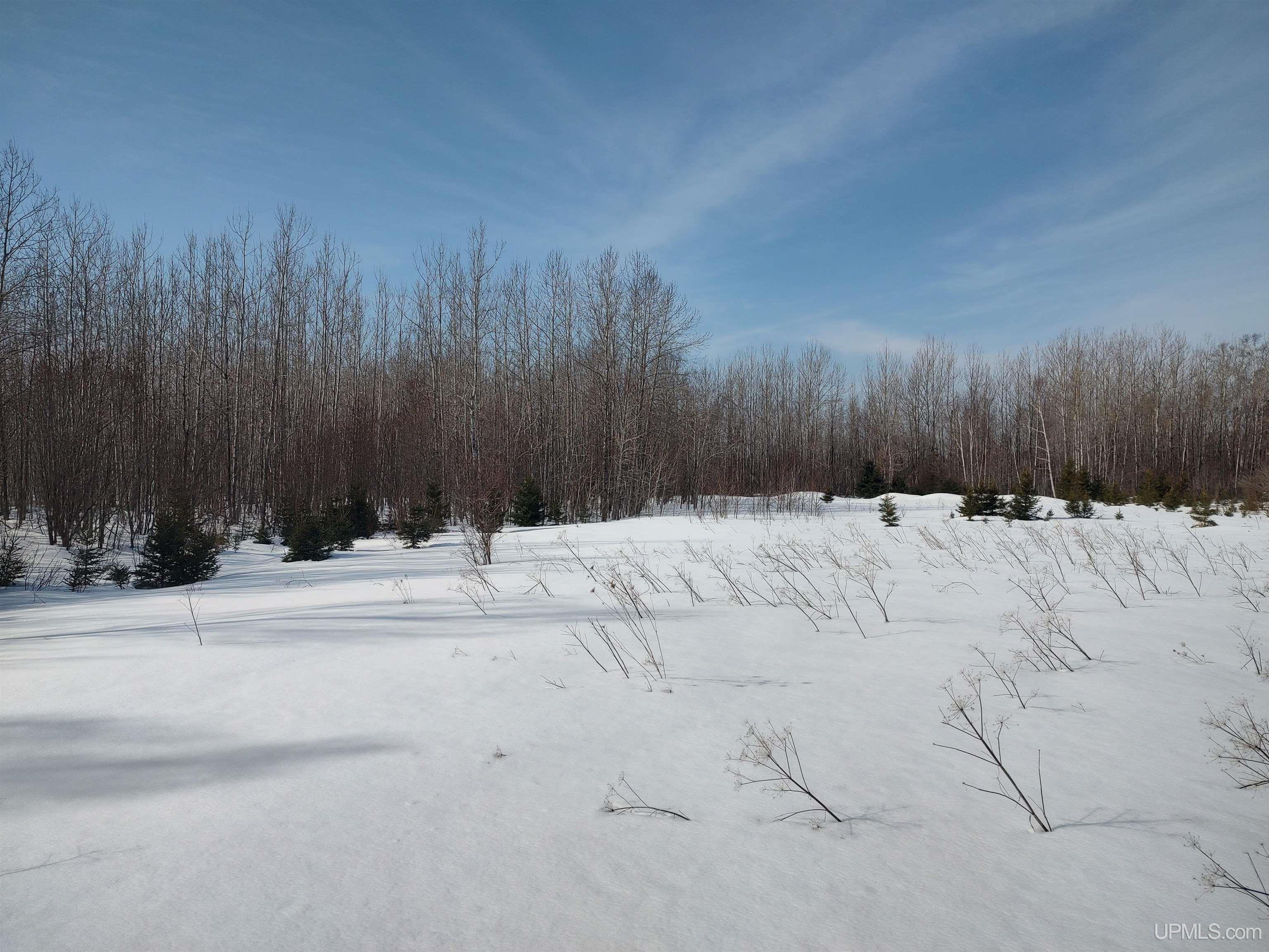 30-acres Parkington Road Gulliver, MI 49840 - Photo 19 of 31