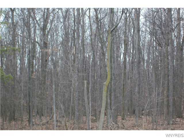 Vl Cedar Road Clarence Center, NY 14032 - Photo 1 of 1 Land
