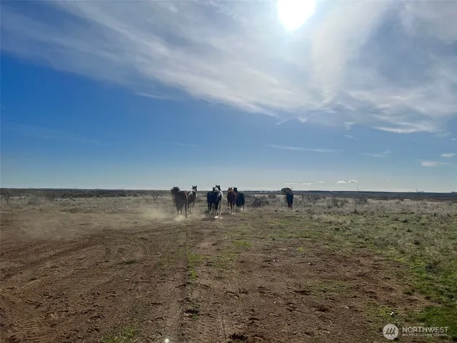 $150,000 | 4869 Road 20.6 Northeast, Soap Lake, WA 98851