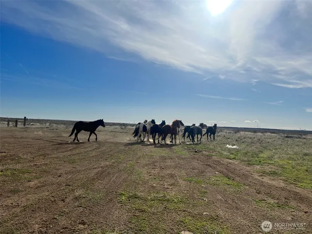 $150,000 | 4869 Road 20.6 Northeast, Soap Lake, WA 98851