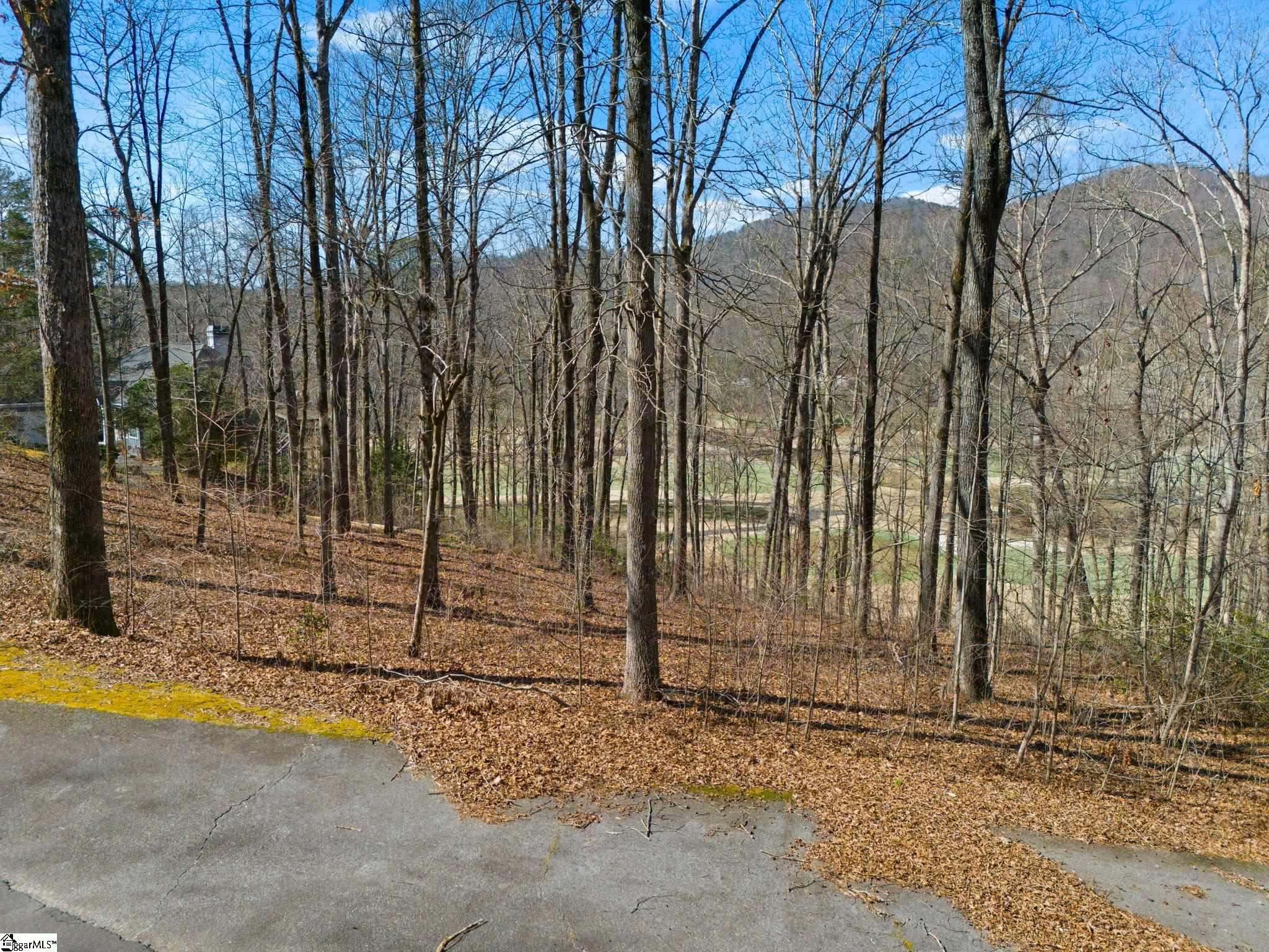 111 Foxboro Road Travelers Rest, SC 29690 - Photo 9 of 11