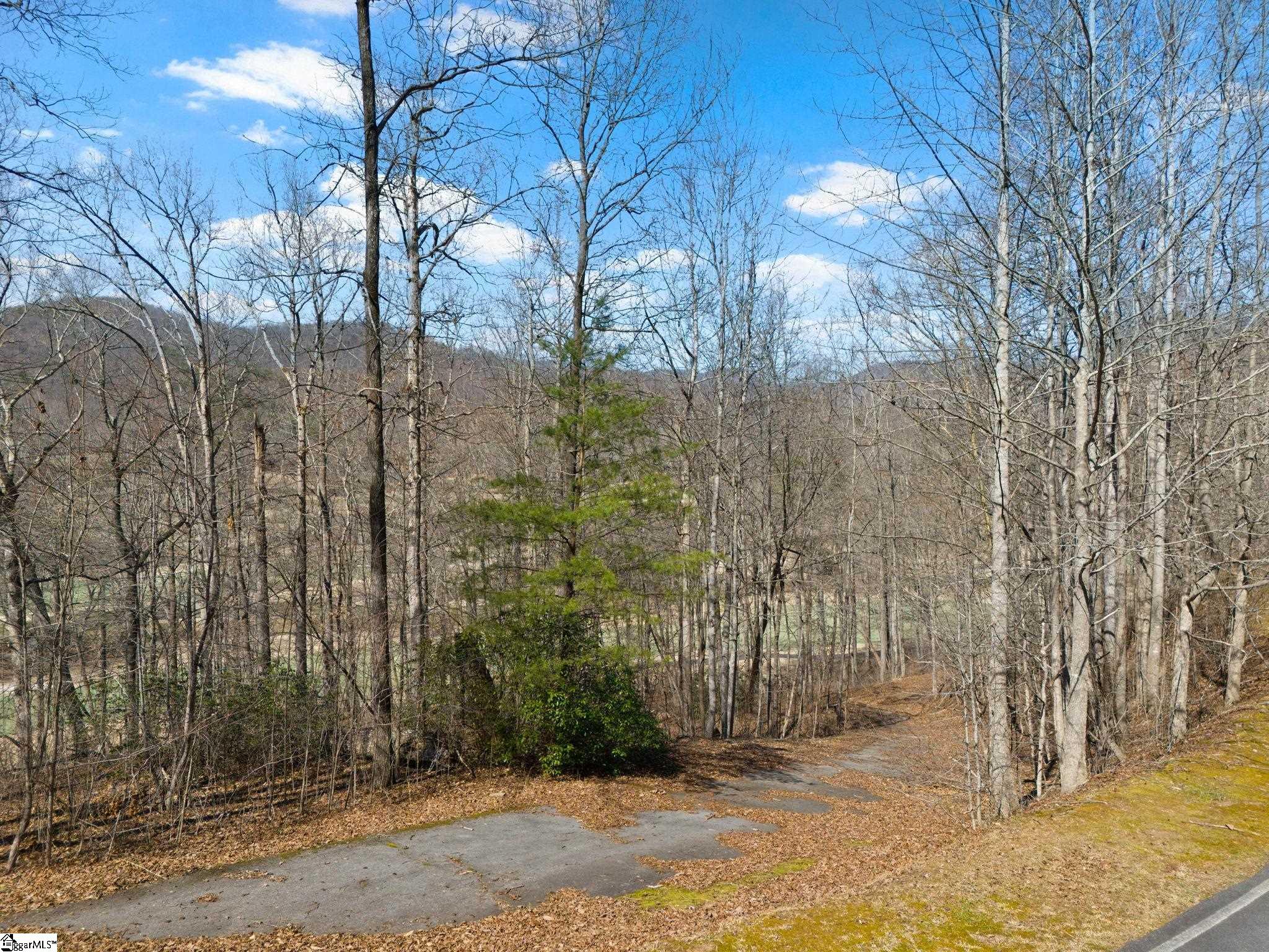 111 Foxboro Road Travelers Rest, SC 29690 - Photo 10 of 11