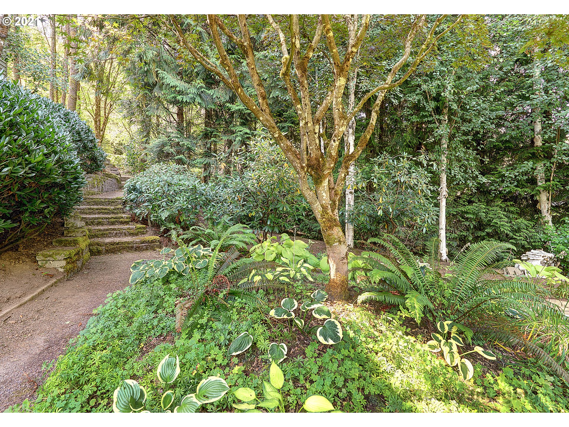 7402 Northwest Penridge Road Portland, OR 97229 - Photo 30 of 32 a view of yard with green space