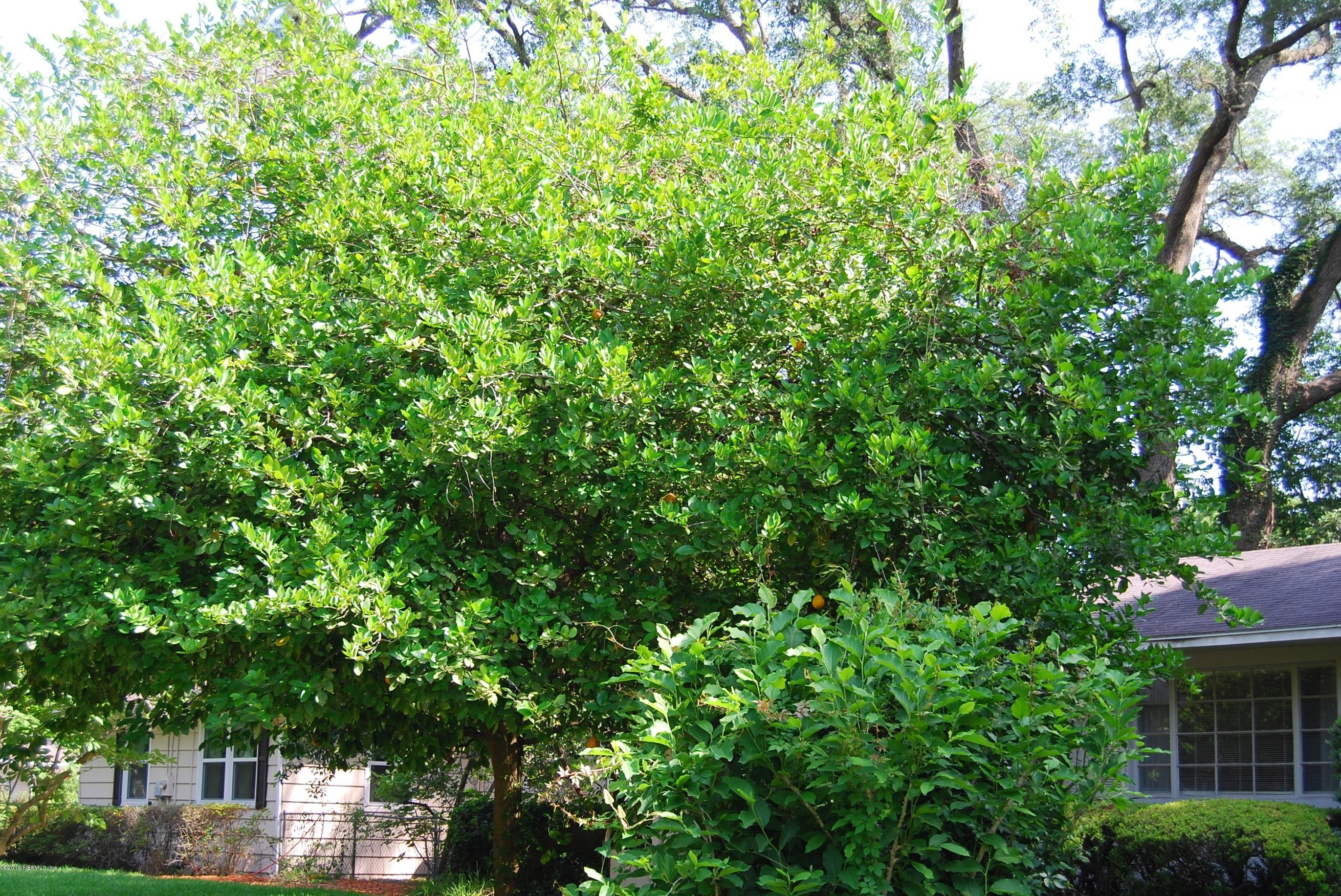 4411 Milstead Road Jacksonville, FL 32210 - Photo 30 of 31 a view of a house with a tree