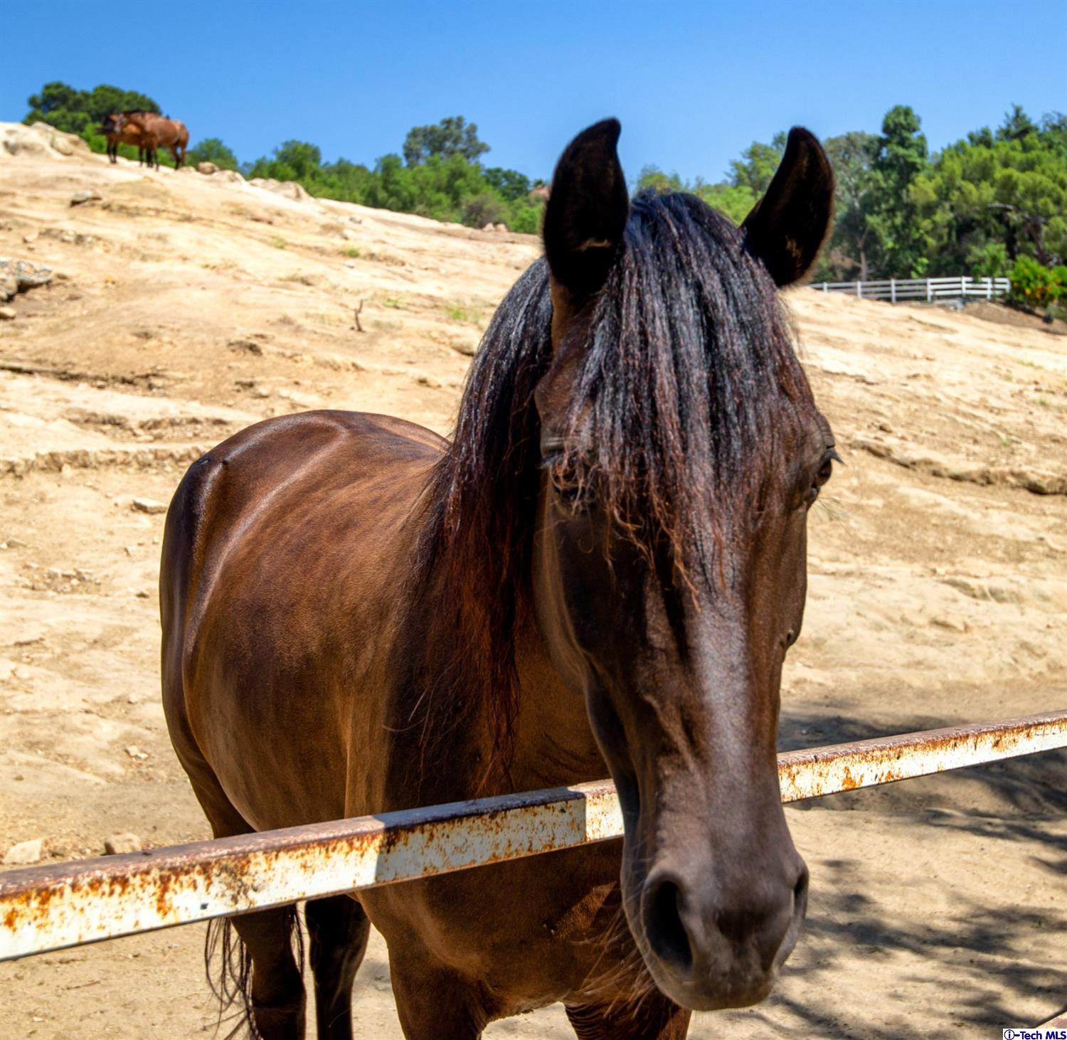 10330 McBroom Street Sunland, CA 91040 - Photo 26 of 66