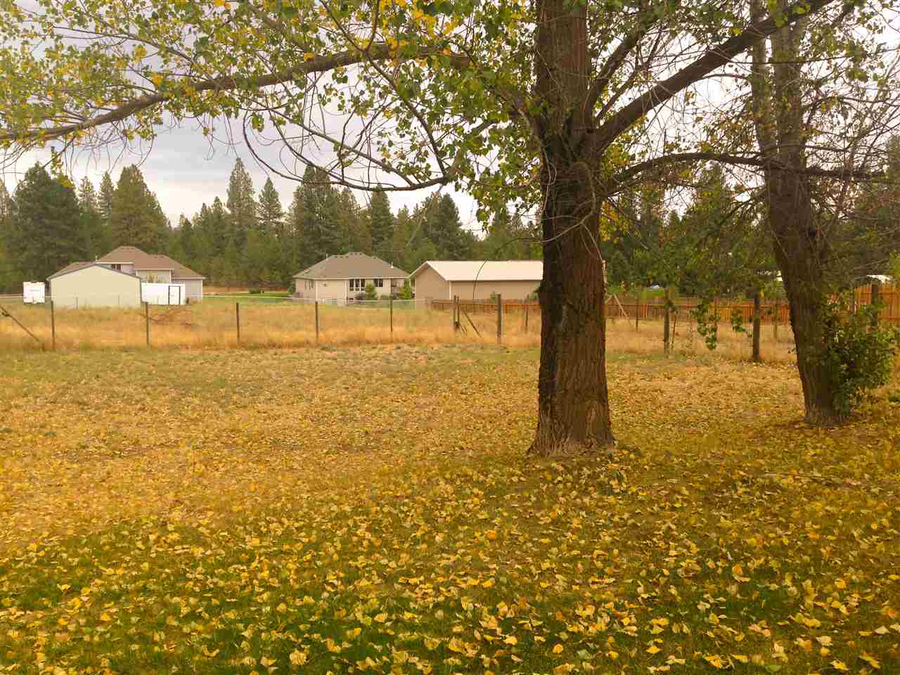 7003 South Mayflower Road Spokane, WA 99224 - Photo 6 of 6