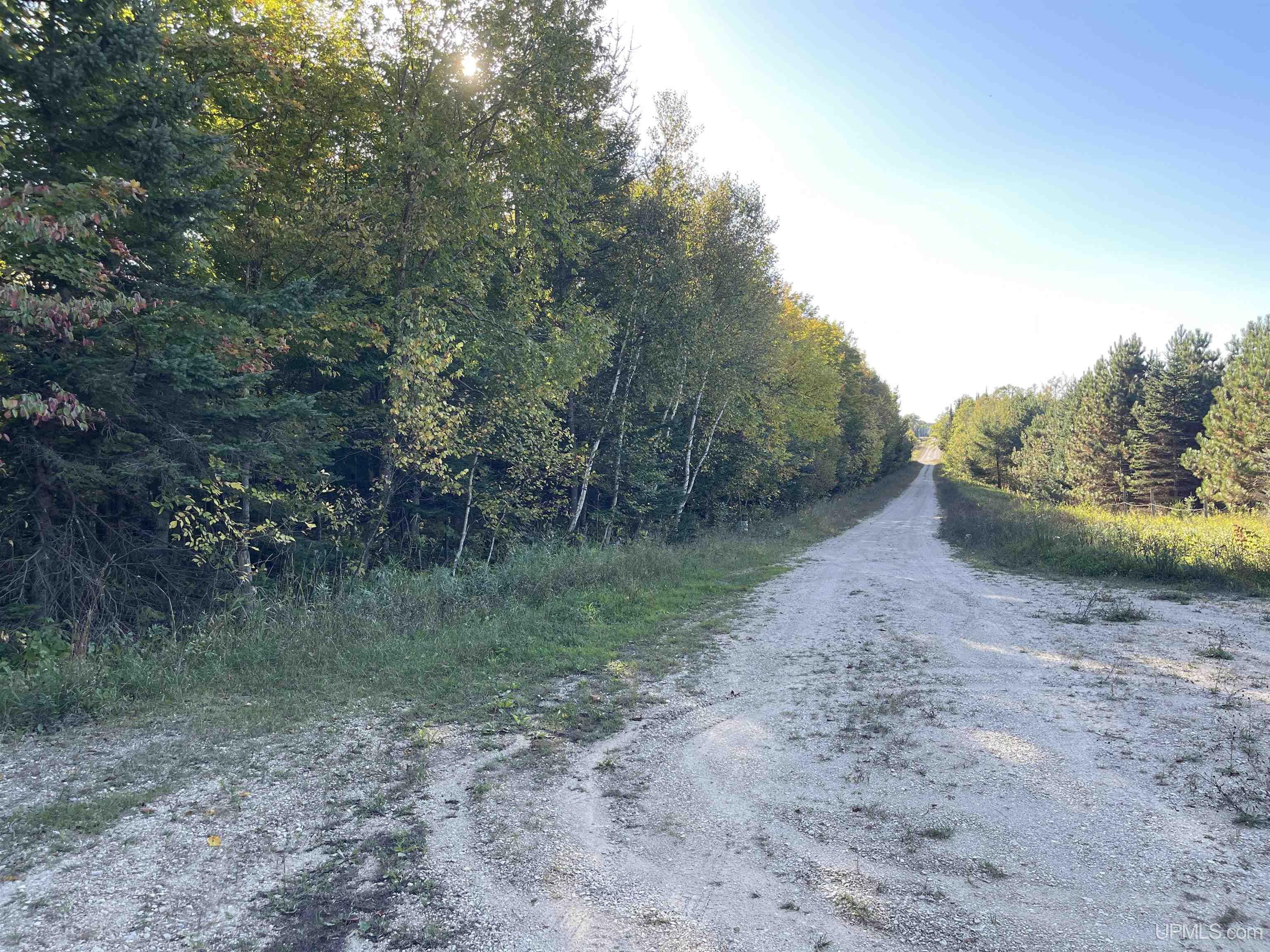 40-acres County Pit Road, Unit PARCEL #4 Manistique, MI 49854 - Photo 27 of 41 Gallery Image 27