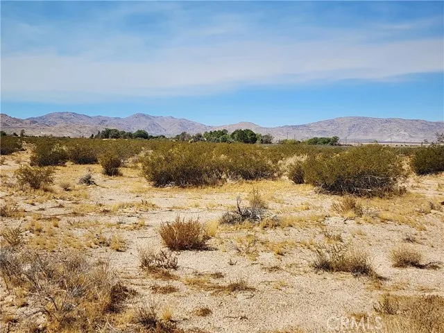 503 Locust Road Lucerne Valley, CA 92356 - Photo 1 of 1 Gallery Image 1