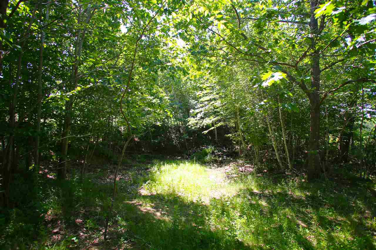 223 Appleton Road New Ipswich, NH 03071 - Photo 32 of 40