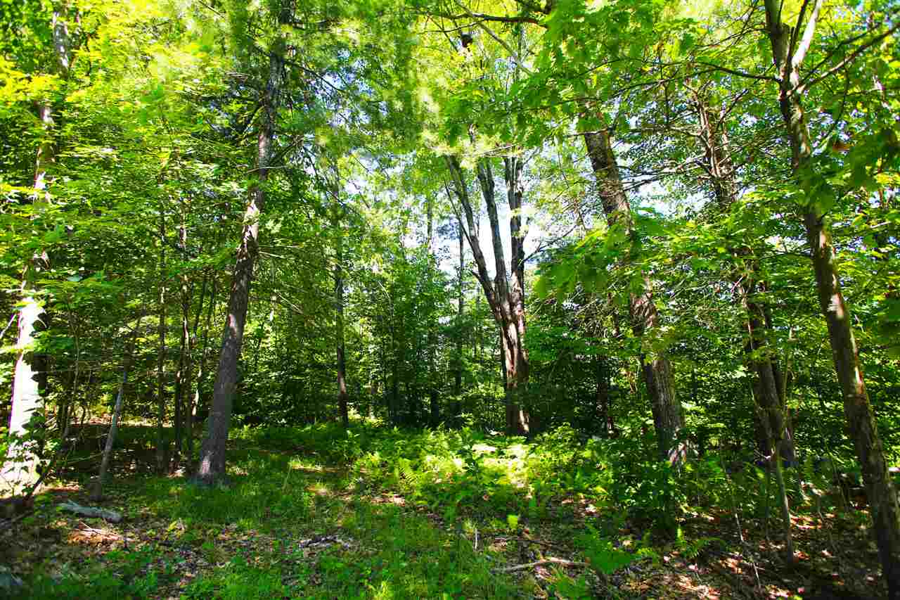 223 Appleton Road New Ipswich, NH 03071 - Photo 34 of 40