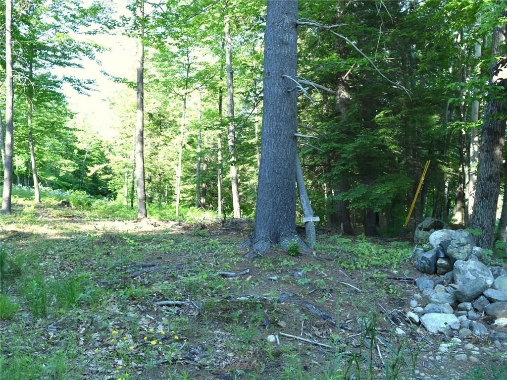 Lot 3 Sadie Dunn Rd Mount Mount Vernon, ME 04352 - Photo 3 of 4 Photo