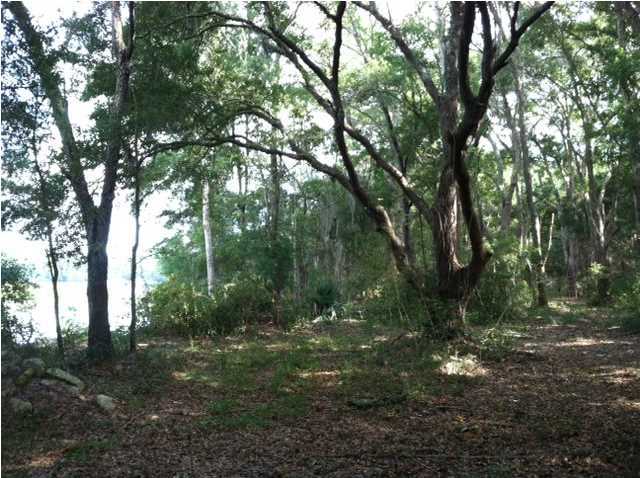 8706 Peters Point Road Edisto Island, SC 29438 - Photo 2 of 9 Additional Photo
