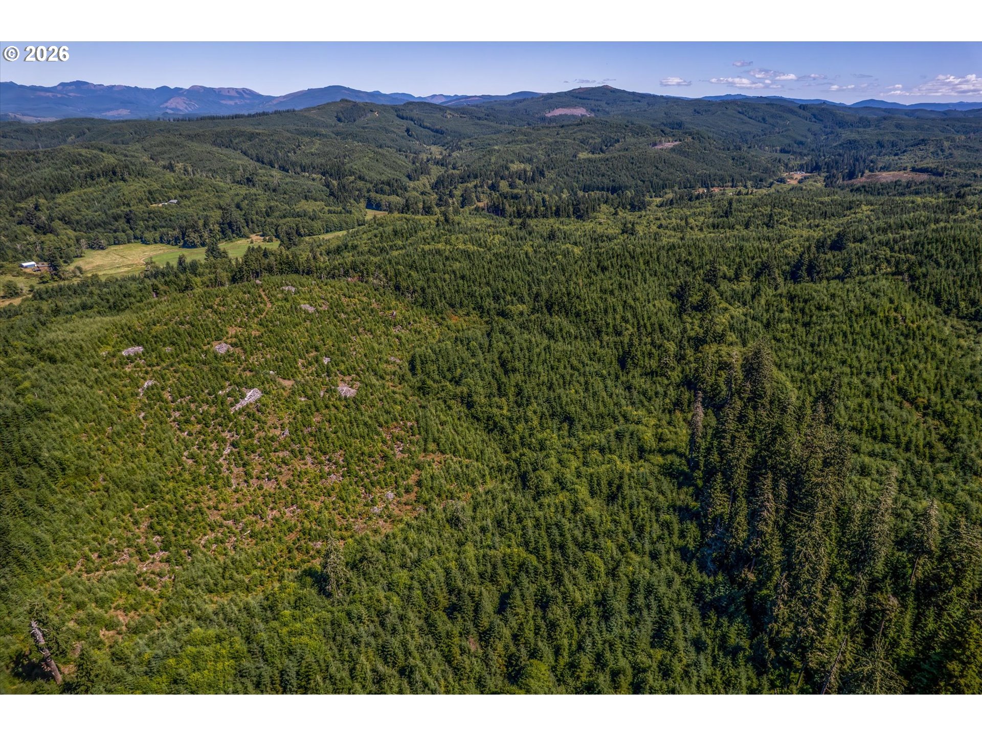 1 Eden Valley Road Rosburg, WA 98643 - Photo 10 of 11 a view of a lush green hillside and a houses