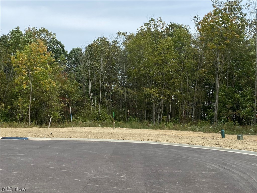 2502 Maple Ridge Drive Akron, OH 44333 - Photo 2 of 3 View of Lot 7 at back of Maple Ridge Cul-de-Sac.