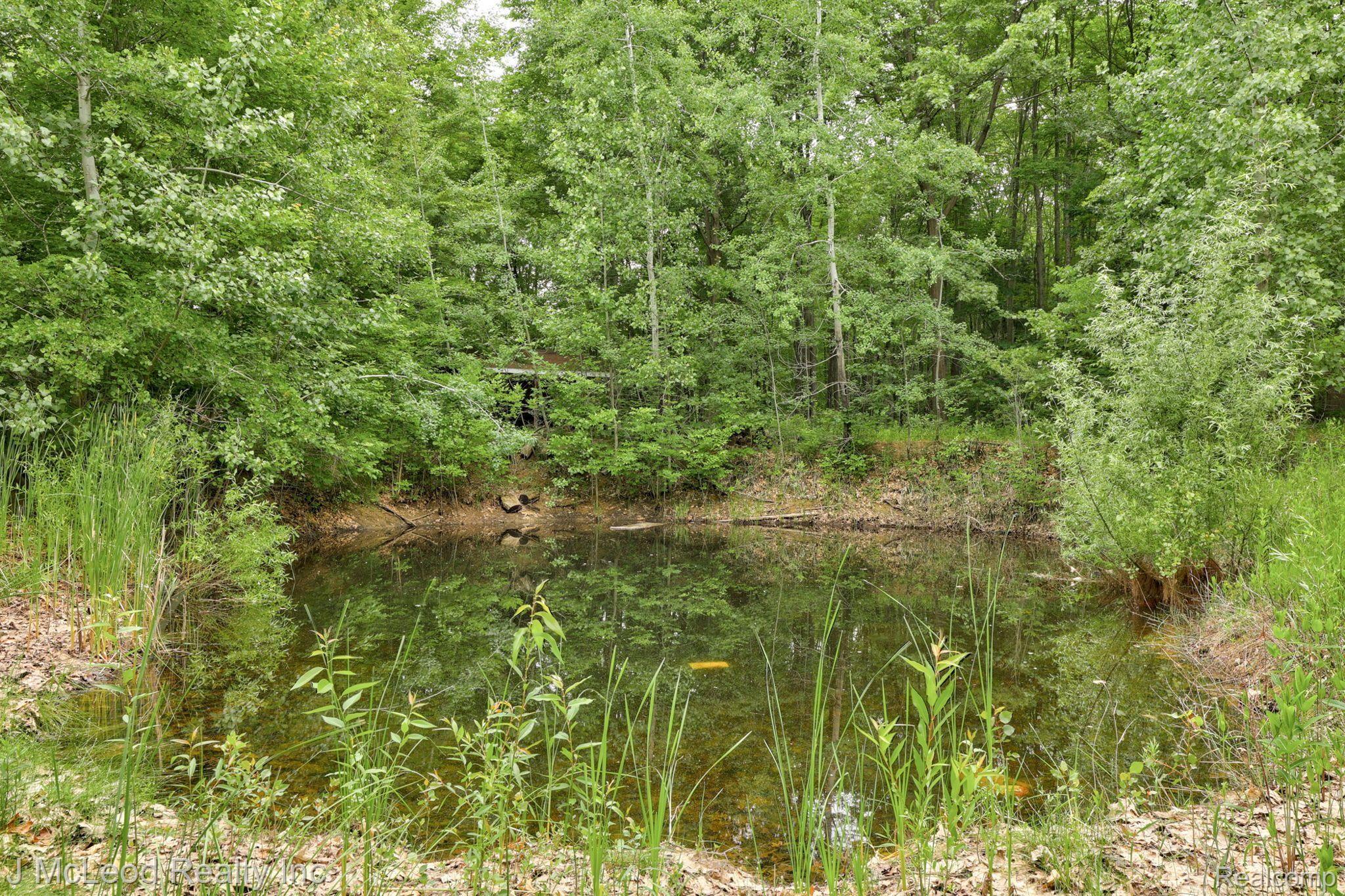 6345 Caine Road Vassar, MI 48768 - Photo 61 of 82 Gallery Image 61