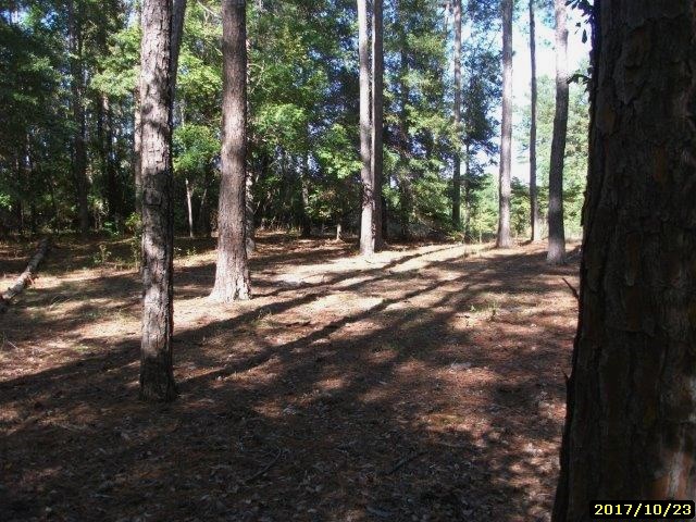 7211 Cartledge Road Box Springs, GA 31801 - Photo 12 of 13 Gallery Image 12