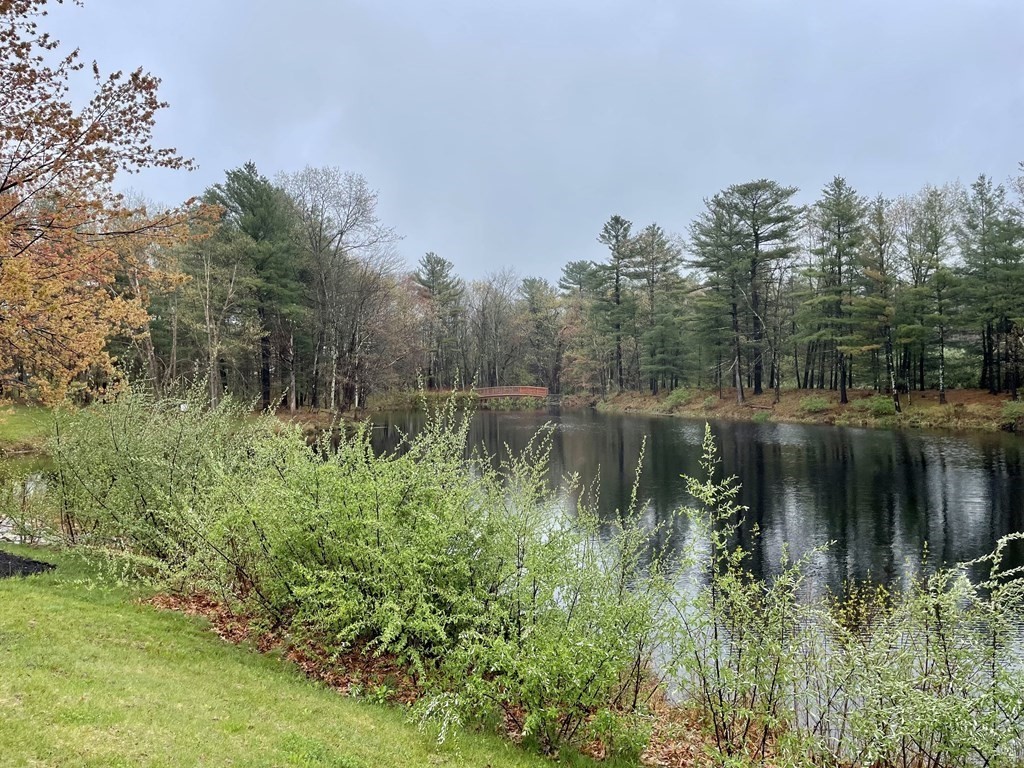 182 Swanson Road, Unit 319 Boxborough, MA 01719 - Photo 15 of 21 Gallery Image 15