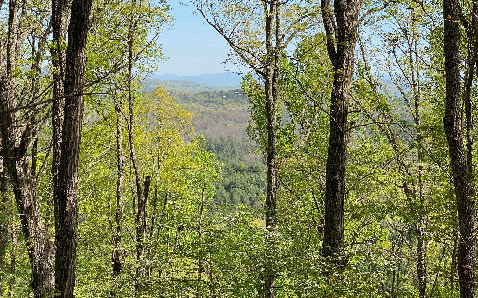 Lot Raven Raven Ridge Circle Morganton, GA 30560 - Photo 1 of 1 Main View