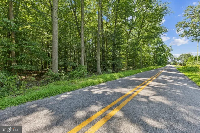 a view of a street with a yard