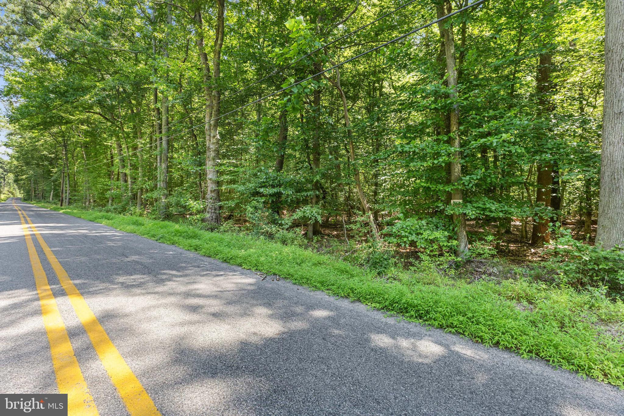 6005 Fenwick Road Bryans Road, MD 20616 - Photo 2 of 9 a view of a yard with plants and a trees