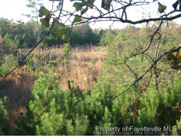Golden Road Raeford, NC 28376 - Photo 1 of 4 Gallery Image 1