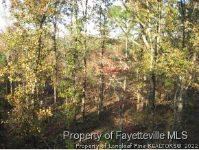 Golden Road Raeford, NC 28376 - Photo 2 of 4 Gallery Image 2