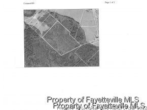 Golden Road Raeford, NC 28376 - Photo 3 of 4 Gallery Image 3