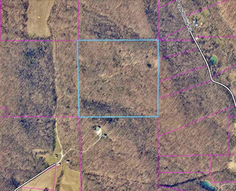 Peggy Hollow Rd Shoals Shoals, IN 47581 - Photo 1 of 16