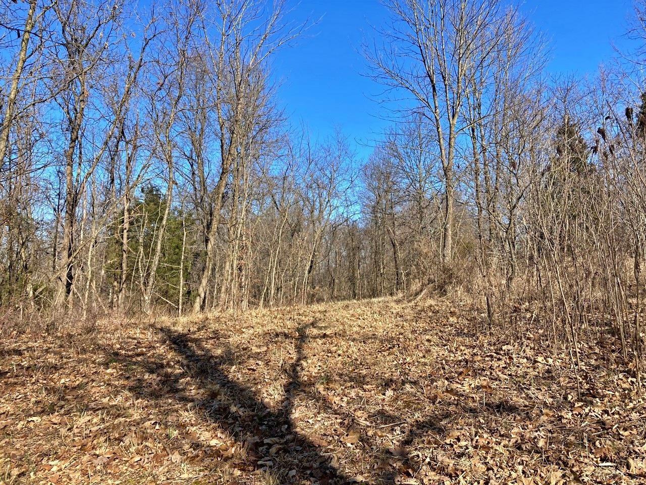 Peggy Hollow Rd Shoals Shoals, IN 47581 - Photo 11 of 16