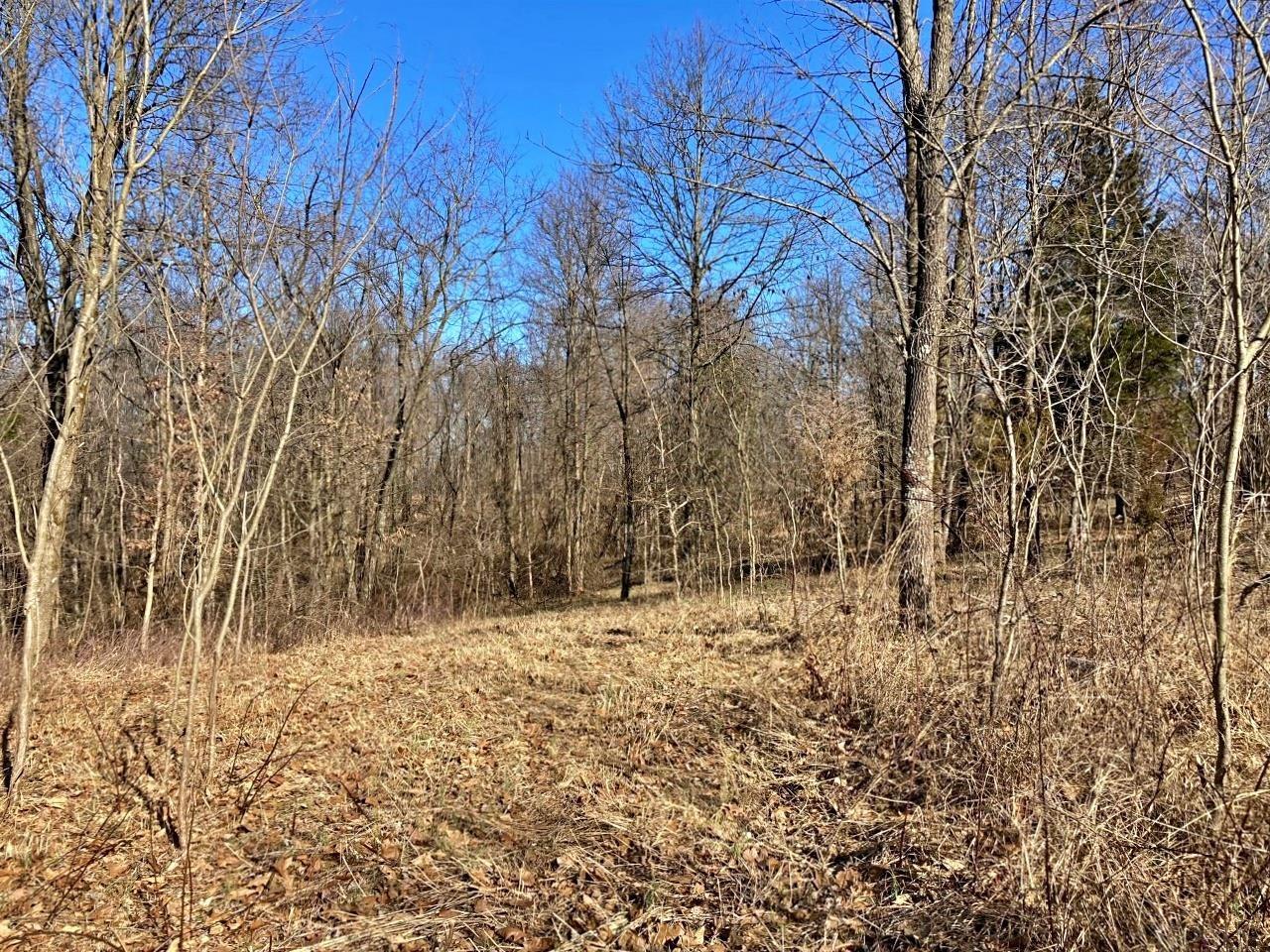 Peggy Hollow Rd Shoals Shoals, IN 47581 - Photo 14 of 16