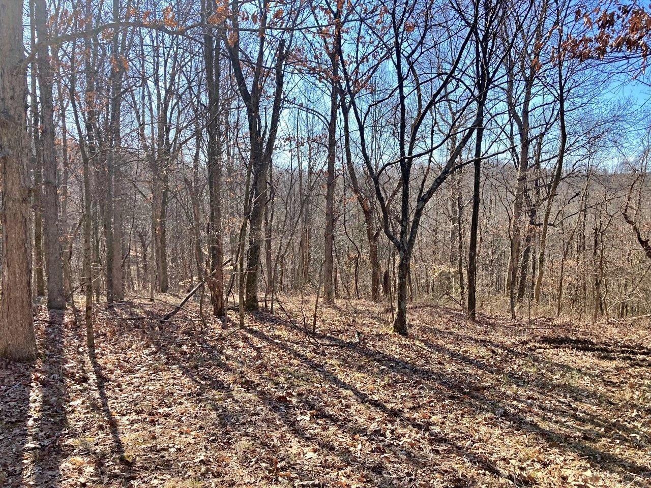 Peggy Hollow Rd Shoals Shoals, IN 47581 - Photo 15 of 16