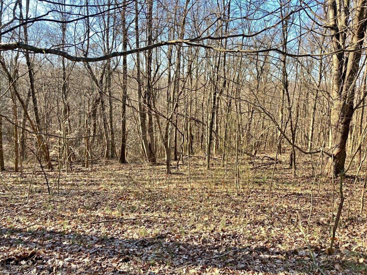 Peggy Hollow Rd Shoals Shoals, IN 47581 - Photo 16 of 16