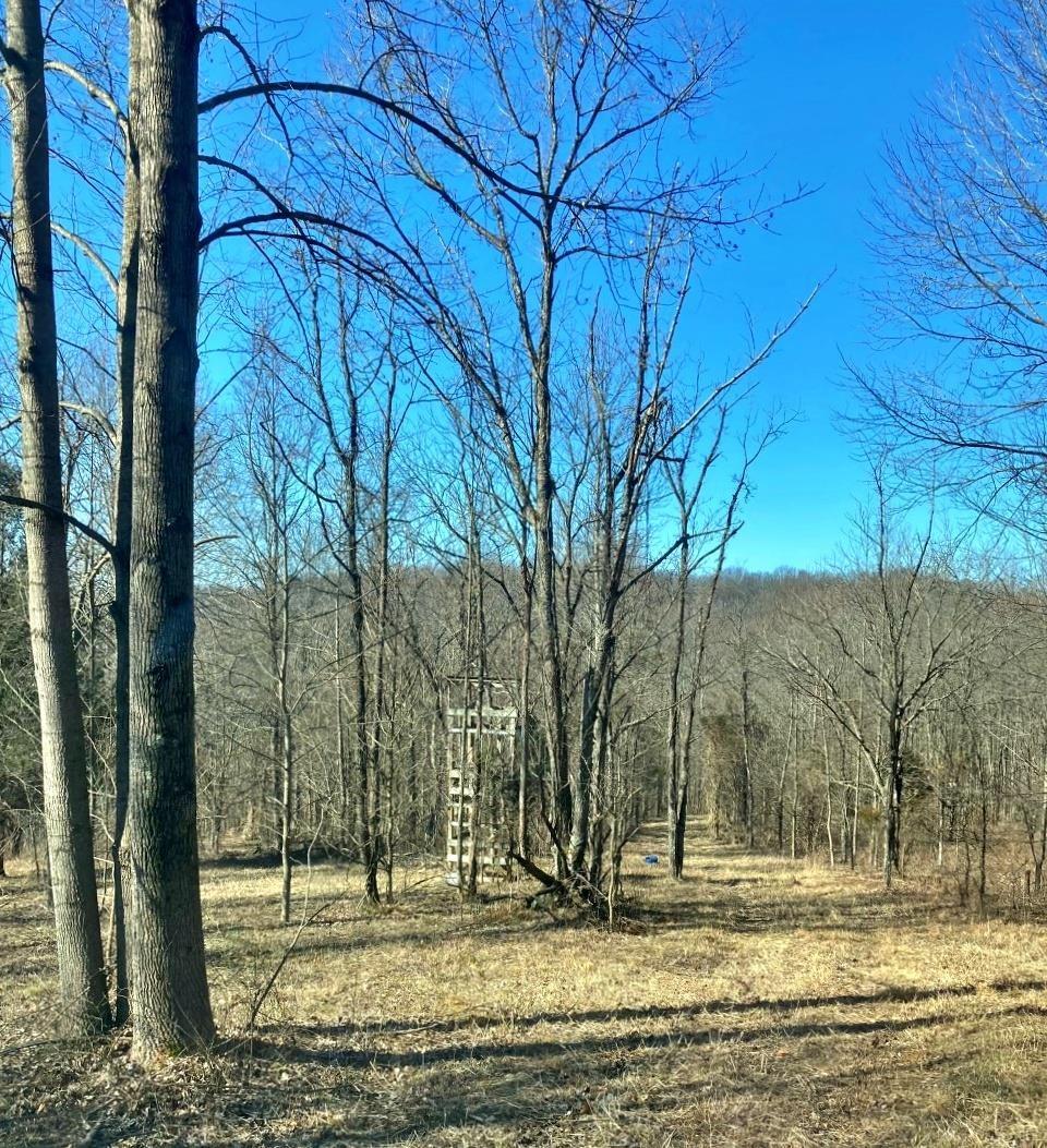 Peggy Hollow Rd Shoals Shoals, IN 47581 - Photo 3 of 16