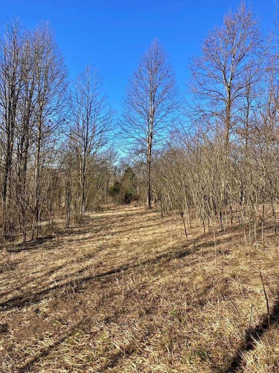 Peggy Hollow Rd Shoals Shoals, IN 47581 - Photo 4 of 16