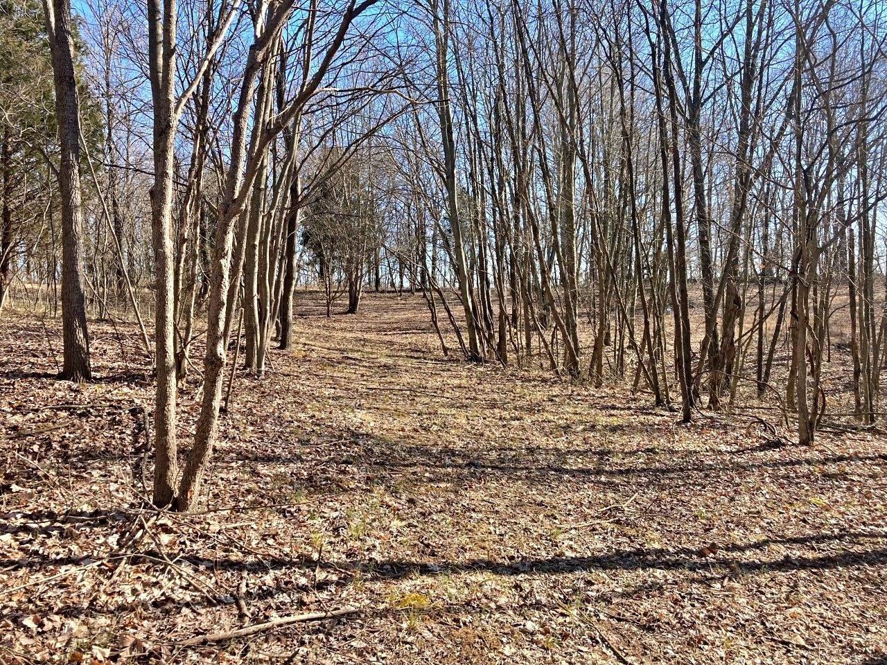 Peggy Hollow Rd Shoals Shoals, IN 47581 - Photo 6 of 16