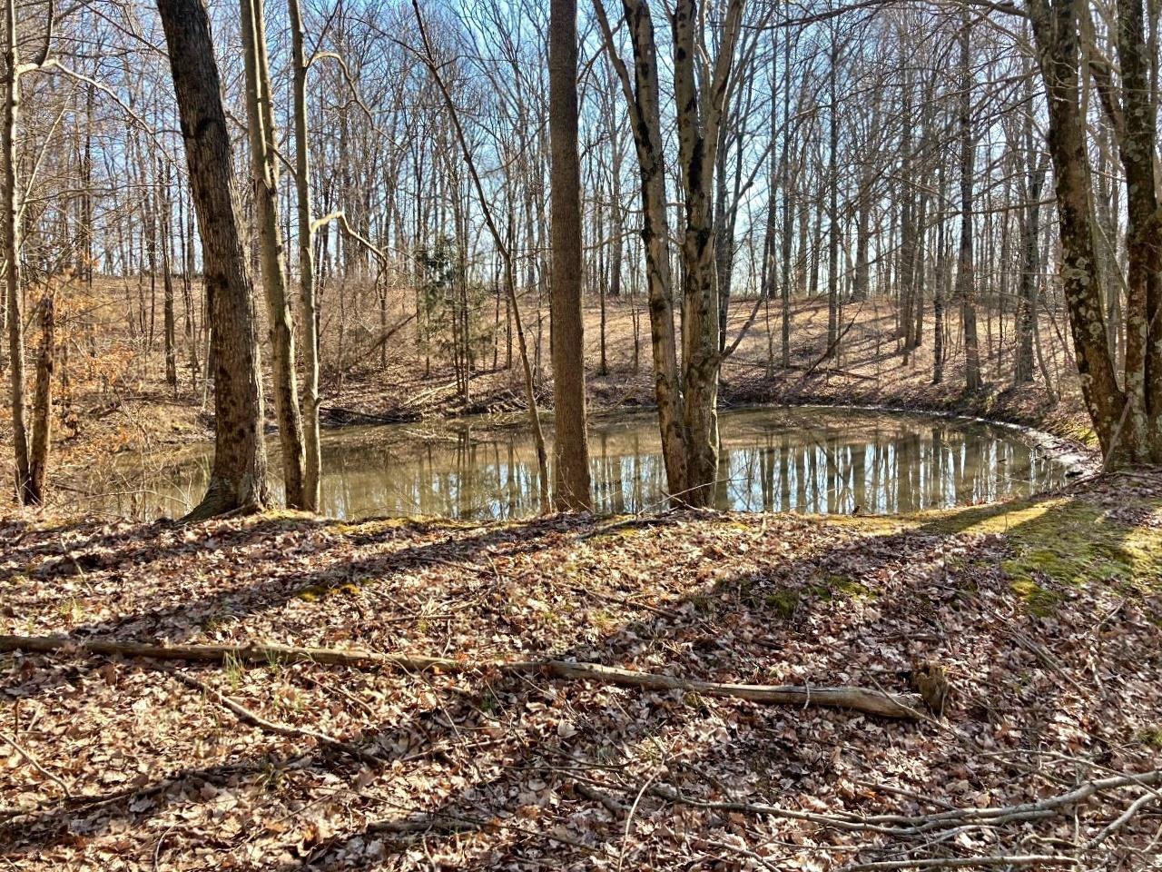 Peggy Hollow Rd Shoals Shoals, IN 47581 - Photo 8 of 16