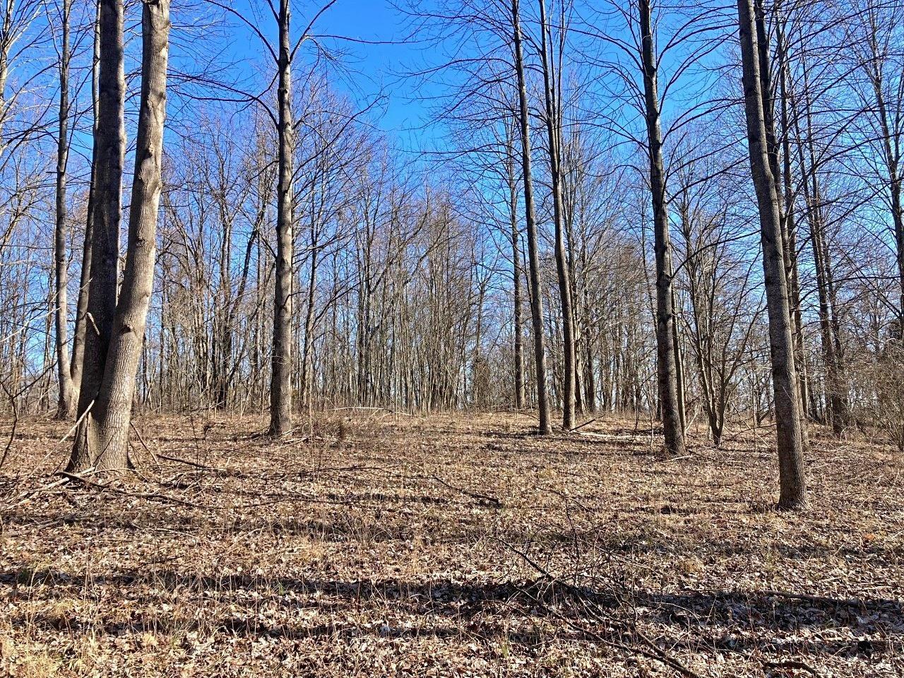 Peggy Hollow Rd Shoals Shoals, IN 47581 - Photo 9 of 16