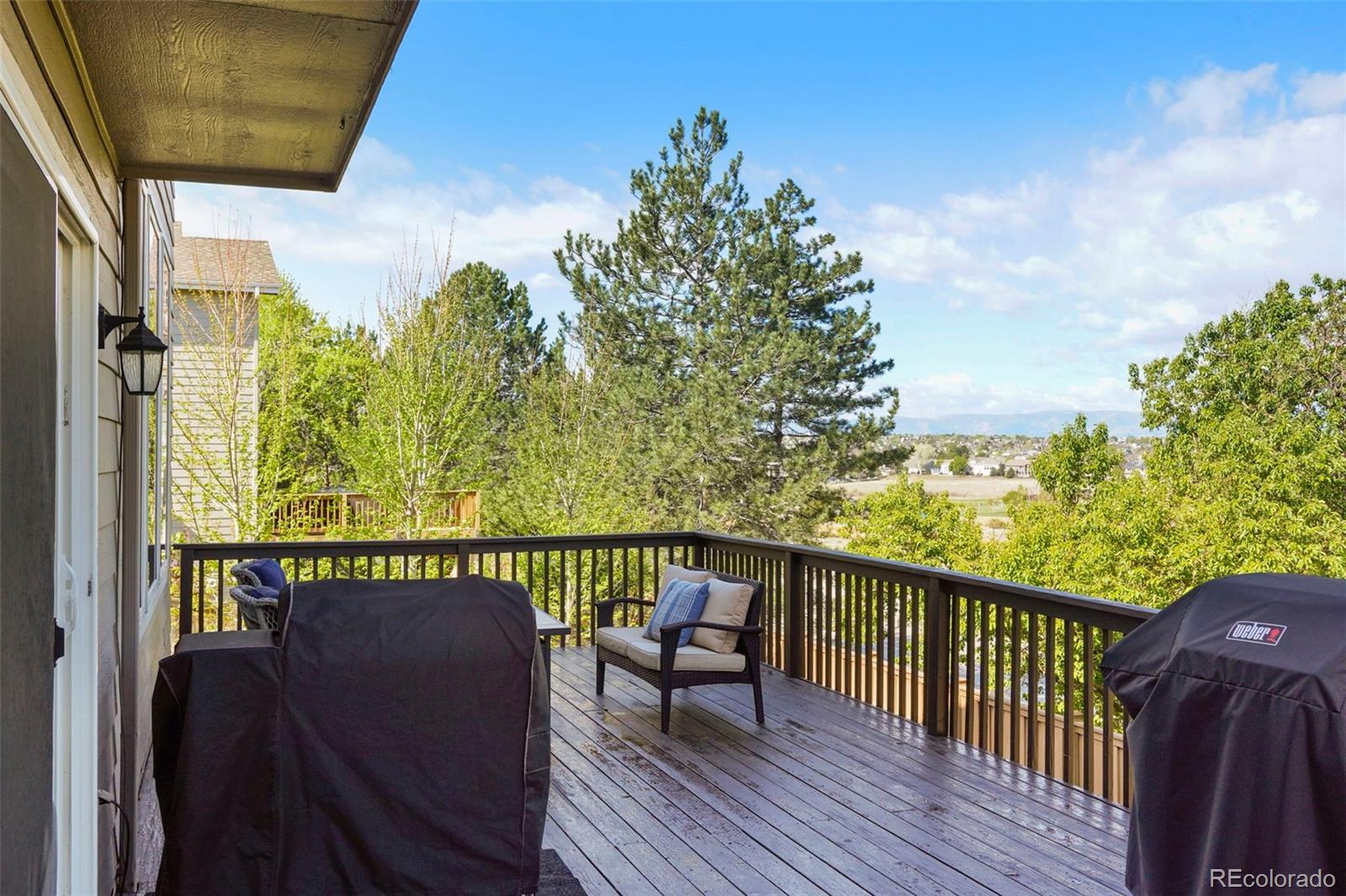9701 Millstone Court Highlands Ranch, CO 80130 - Photo 14 of 50