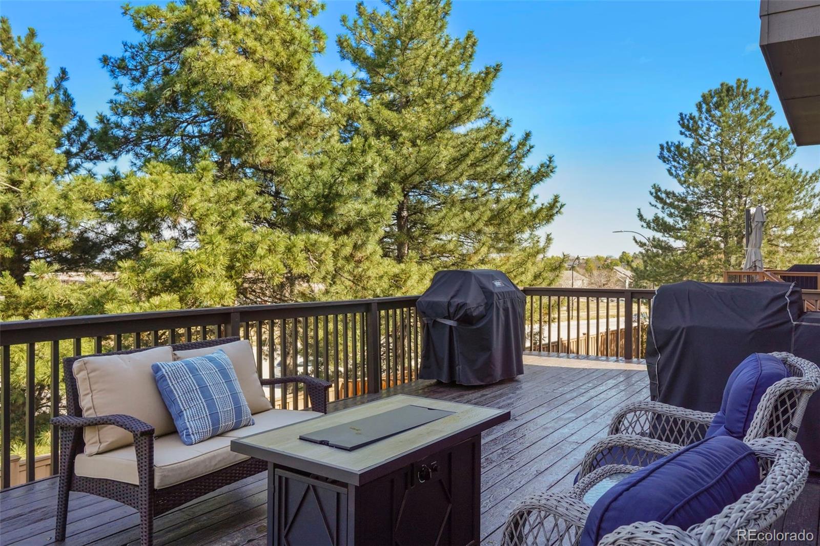 9701 Millstone Court Highlands Ranch, CO 80130 - Photo 15 of 50