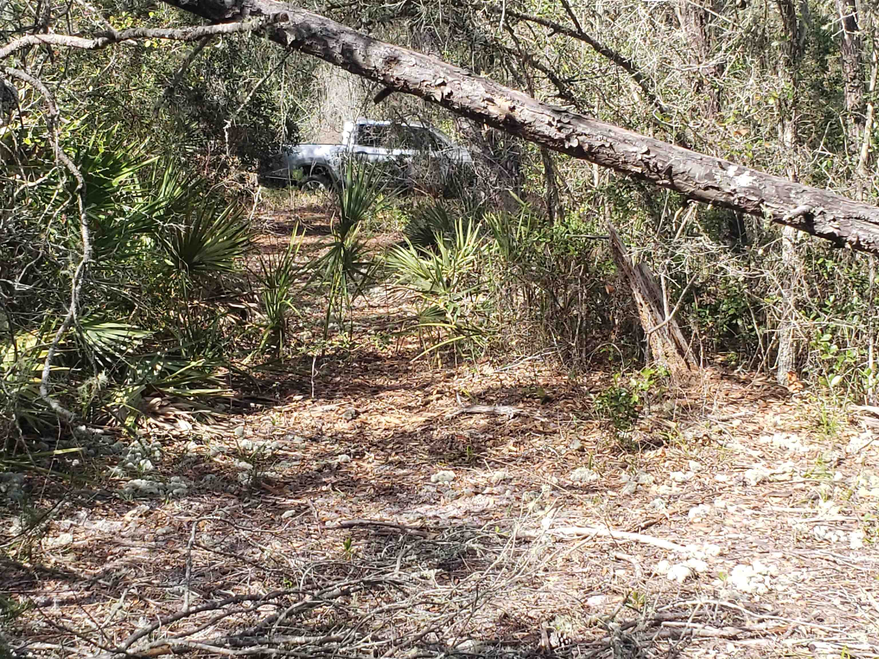 210 Clear Lake Road Crescent City, FL 32112 - Photo 9 of 10 Gallery Image 9
