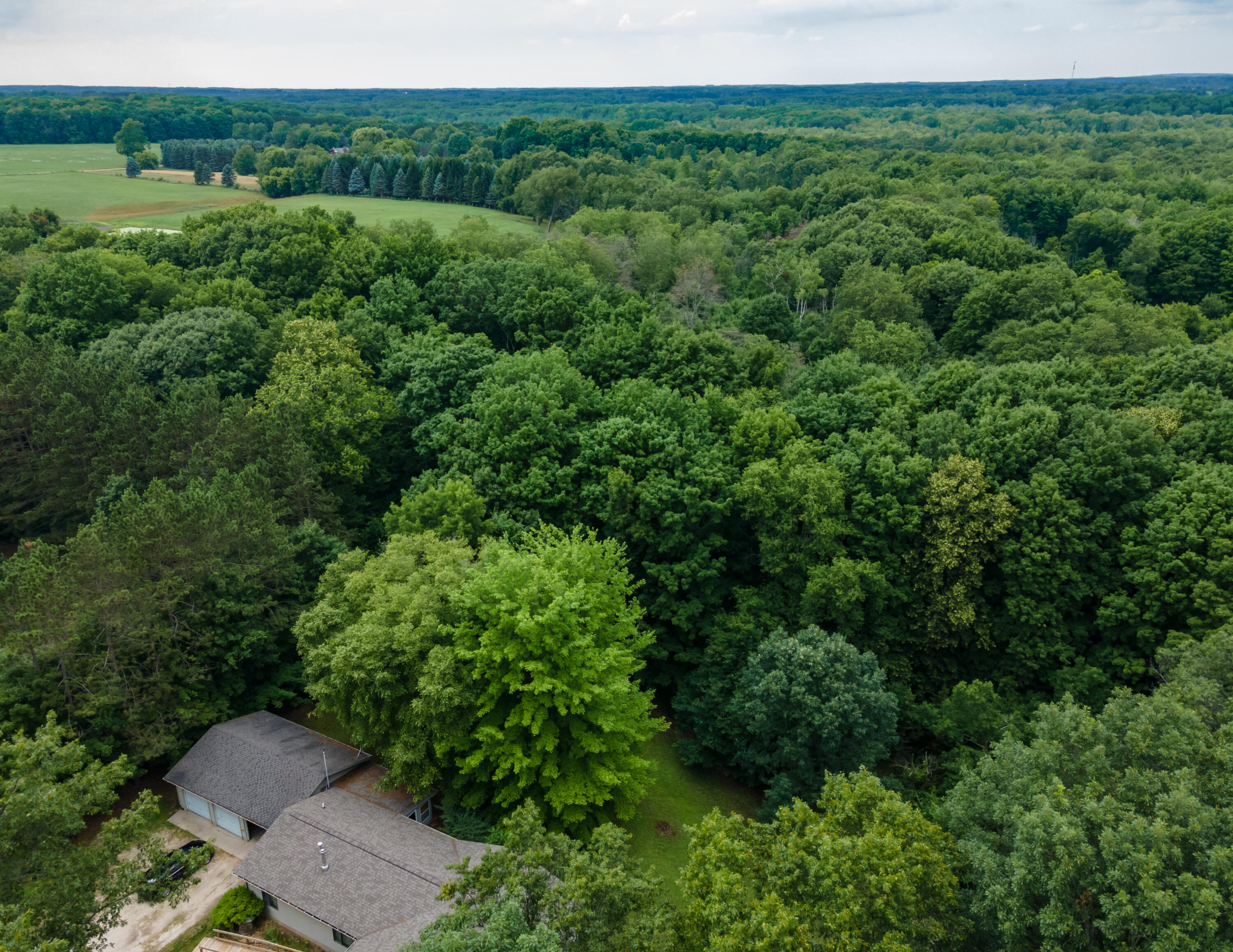3434 East Wilson Road Custer, MI 49405 - Photo 3 of 63 DJI_0301