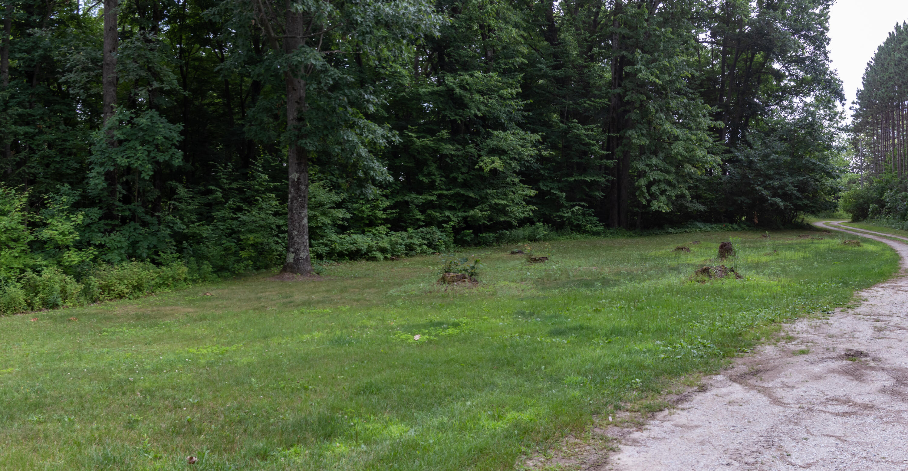 3434 East Wilson Road Custer, MI 49405 - Photo 45 of 63 IMG_9443-Pano